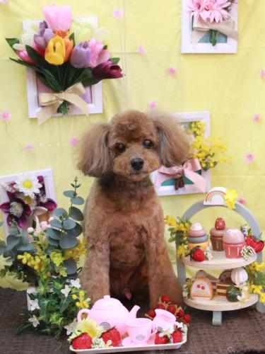 20230319颯太くん